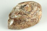 Chalcedony Replaced Gastropod With Sparkly Quartz - India #188789-1